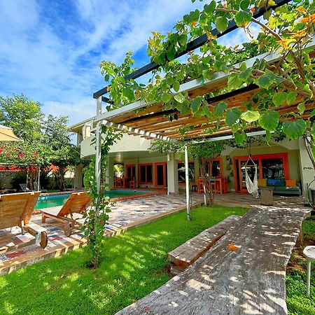 Royal Palm Retreat Apartment Cabrera Exterior photo